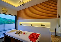 SKK Blue Hotel And Spa Udaipur