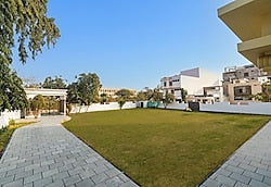 Hotel Redolence Aravali Tree Udaipur