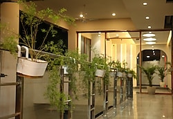 Hotel Westend Udaipur